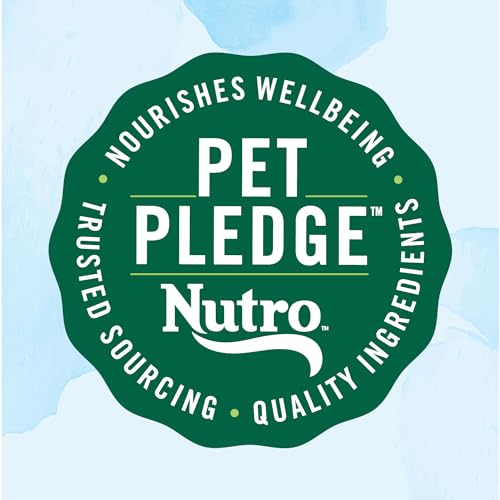 Nutro 10157599 Limited Ingredient Diet Dry Dog Food, Salmon & Lentils Recipe thumb #11