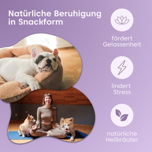 pfotenkumpels Seelenyoga | Beruhigungs-Snacks für Hunde I Mit Baldrian & Johanneskraut I Pflanzliches Beruhigungsmittel bei Angst, Stress & Silvester