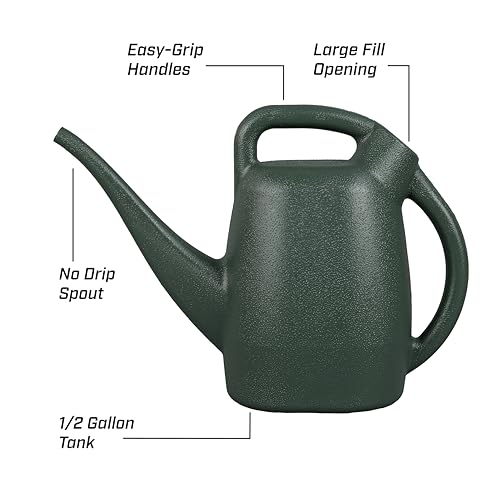 Image of Chapin 1 /2-Gallon Watering Can, Easy-Pour Dual Handle Design | Lightweight compact design; ideal for indoor plants watering with large opening for easy refill and controlled pour
