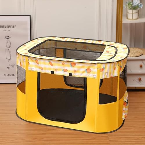 CitybabyybgP[W ybgtFX  Ly ` ܂肽݃y  O t bV h y g₷ h RpNg O L[obOt (S,C)