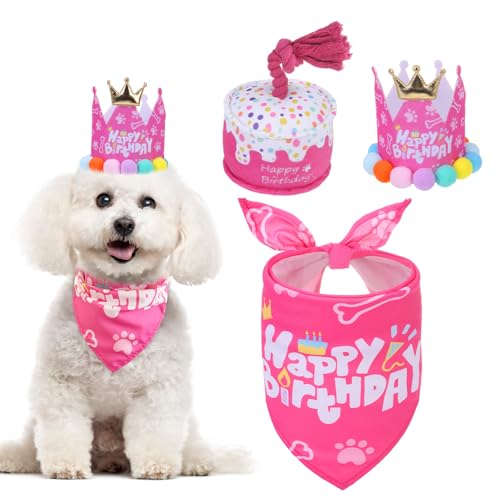 Mihachi Dog Birthday Party Supplies - sN o[Xf[ K[ hbO o_iAXqA^pރP[L