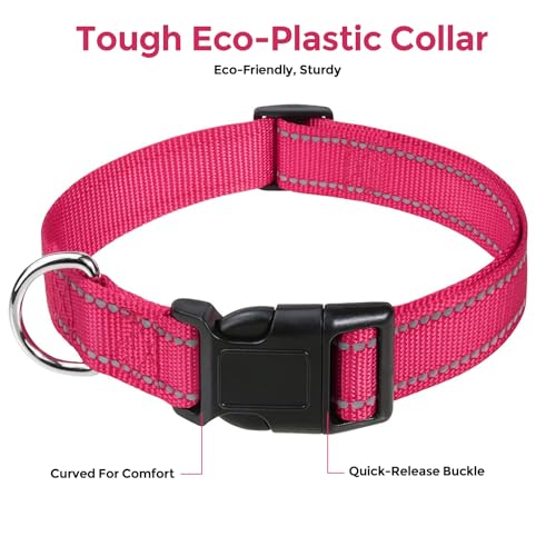 Collar reflectante de nailon para perro tamaño grande miniatura 4