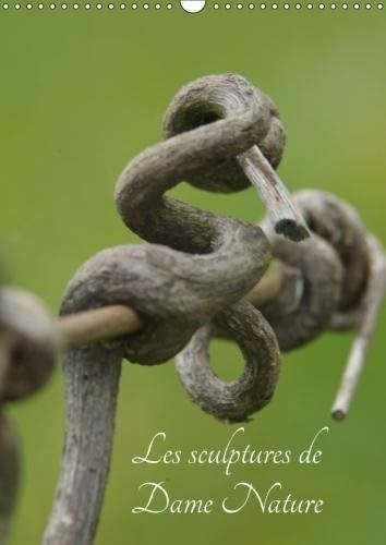 Les Sculptures De Dame Nature 2018: Toutes Les Beautee De La Nature Sous Vos Yeux (Calvendo Art)