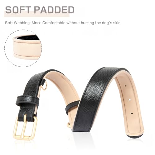 HEELE Hundehalsband, Halsband Leder mit gepolstert und echtes Leder, Verstellbar für Welpen Kleine Mittel Grobe Hunde, Schwarz, M