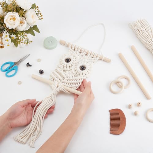 BEUNITONE Kit de coruja de macramê para adultos, iniciantes, faça você mesmo, kit de macramê para pe