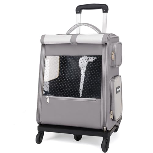 Diexgiysp̃LX^[tg[ybgobOt|[^uLX[cP[XAeʁAybgpʋCobNpbN (GKgO[̃g[t [ȒPŕ֗])