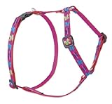 LupinePet Originals 1/2" Wing It 9-14" Adjustable Roman Dog Harness for Extra Small Dogs