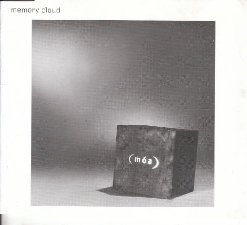Memory Cloud/