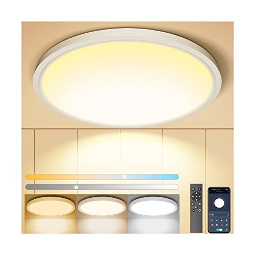 Aphyni Flush Mount Ceiling Light With Remote & App Control-Ip44 Waterproof-24W 12Inch 2400Lm Brightness(5% To 100%) Adjustable-3000-6500K Changeable With Night Light For Bedroom,Fcc,Etl Listed #TOP17