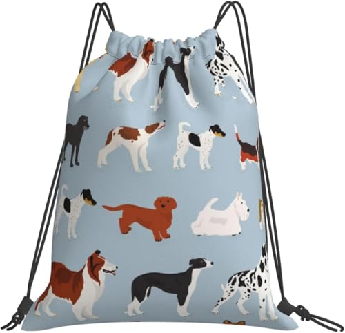 [ESASAV] 񂩂킢 ibvTbN [ e h y ܂ [obO В j ^ s AEghA