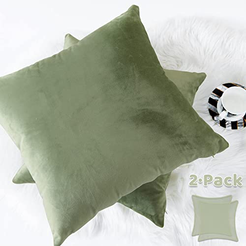 Lazzzy Velvet Throw Pillow Covers Pack Of 2 Decorative Pillowcases For Couch Bed Sofa Chair Soft Square Solid Sage Cushion Case Green 18 X 18 One Pair #TOP28