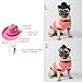 AWOCAN Cowboyhut für Hunde, Katzen, Cowboyhut, Mini-Cowboyhut für Hunde, Katzen, Urlaub, Halloween, Haustier-Party-Dekoration (Rosa, klein)