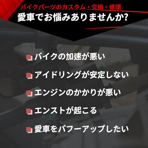 Jetsetmoto イグニッションコイル 80mmピッチ