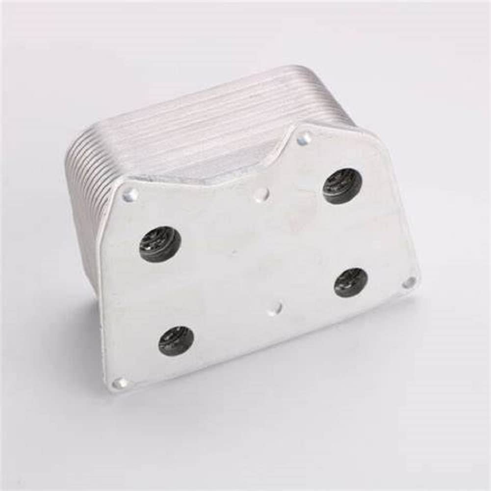 Amazon.com: 1PC/SET engine oil cooler 077117021P 077 117 021P 