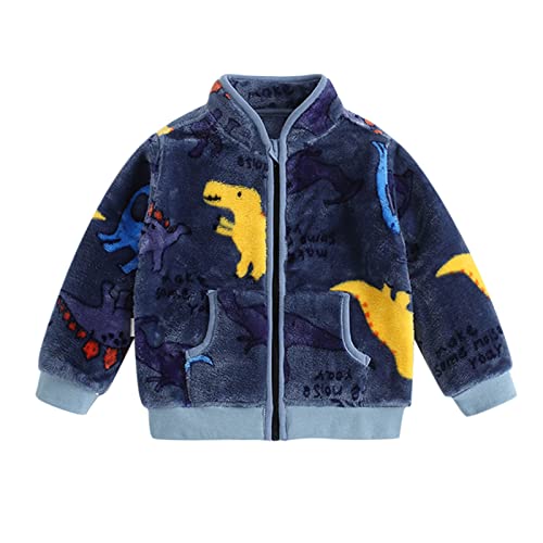 Toddler Boys Girls Winter Windproof Cartoon Coat Jacket Kids Warm Fleece Outerwear Cute Fall Winter (Blue, 2-3 Years)