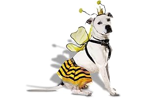 Queen Bee Costume for Dogs, X-Large: Buzzing with Style and Comfort
