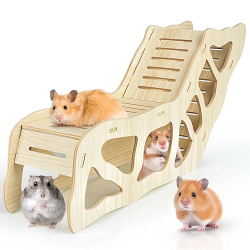 Illustration of Glossy Hamster Hideaway House With Tahlon Tunnel System