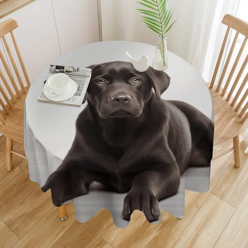 Nappe ronde décorative extérieure en polyester imprimé de chien - 4