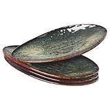 jinsongdafa Ceramic Dinner Plates Set of 4, for Bread, Pasta, Salad, sushi - Microwave, Oven and Dishwasher Safe, Scratch Resistant durable Black reactive glaze