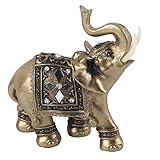 KIMISS B0DKDF1FN6 lato 2