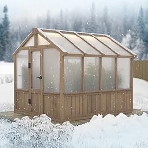 Veikou 6x8ft greenhouse greenhouses for outdoors with cedar frame 6mm thick polycarbonate panel green house with adjustable vent for outside garden backyard  urban country home decor