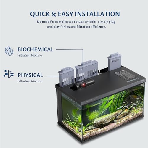 Image of Wonderfactory S1 Fish Tank Filter Replacement Cartridge for S1 Smart Fish Tank, Internal Sponge Filtration Media Aquarium Accessories Physical Cleaning for Clear Water (Red & Gray Shipped Randomly)