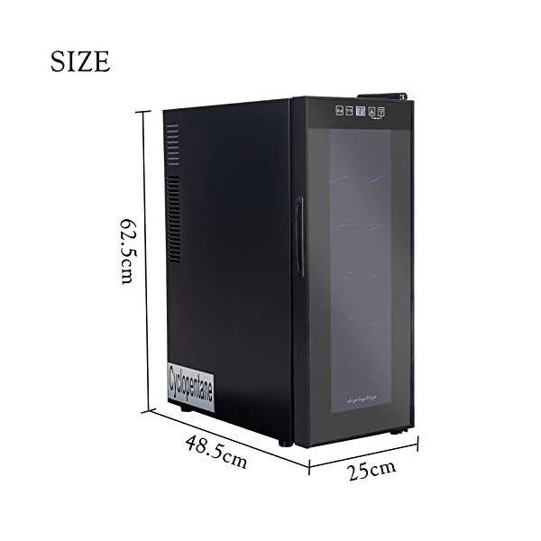 Display4top Weinkühler, 12 Flaschen Weinkühlschrank, Temperaturzonen 10