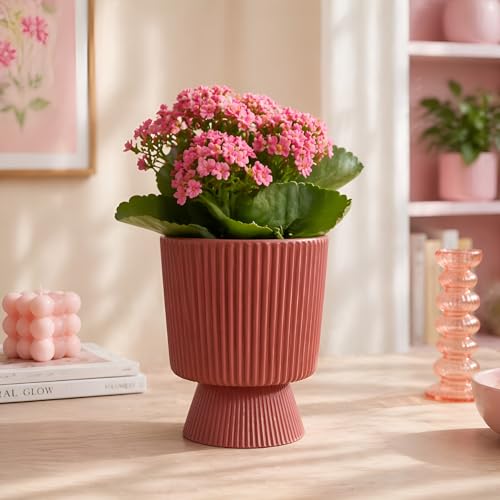 Image of Xtore Bold Pedestal Ceramic Planter Pot for Indoor Plants | Ribbed Elevated Flower Pot for Home, Office Desk & Balcony Decor (Terracotta Red - Planter only)