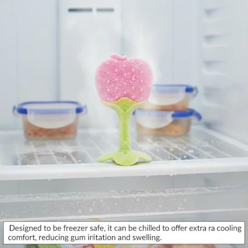 Image of Safe-O-Kid Pack of 1 BPA-Free Natural Silicone Fruit Teether for Babies - Freezer Safe, Soft & Textured Teething Toy for Newborns & Infants (Apple Design)