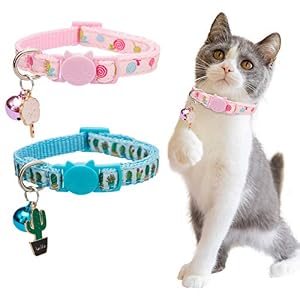 BANMODER Cat Collar Breakaway with Bell2 Pack Safety Adjustable Cat Collars SetCandy Cactus