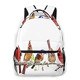 Anpassbarer Schultergurt Zum Komfortablen Tragen