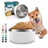 IKITCHEN Dog Bowl for Food and Water 40 Oz Stainless Steel Pet Feeding Bowl Durable Non Skid Double Wall Insulated Heavy Duty with Rubber Bottom for Medium Large Dogs 40 Ounces5 Cup White