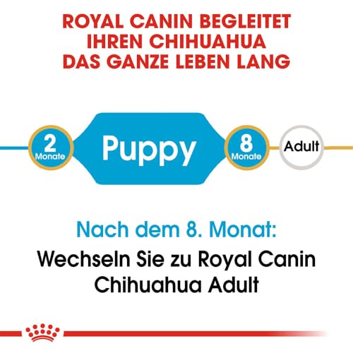 Chihuahua Puppy | Trockenfutter für Welpen | 500 g | Bis zum 8. Monat