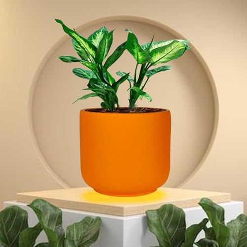 Lasaki Orin 4.5d Lily Ceramic Pots for Indoor Plants, Planters,gamla,Outdoor,Balcony,Home,Round,Garden, Office Decor,Succulent(H - 10 X D - 11 cm)(Plants not Included)