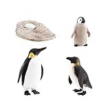 JOUET ÉDUCATIF : textures uniques et détails riches, simulation et figurine réaliste du cycle de croissance.