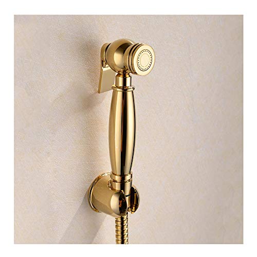 GoldSprayer \bhuXnhwhV[gCXv[Ǌ|z[XtXv[oX[p