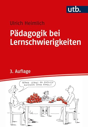 Pädagogik bei Lernschwierigkeiten: Sonderpädagogische Förderung im Förderschwerpunkt Lernen