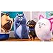 CHANGJIU Adult Decompressionthe Secret Life of Pets Anime Poster - 1000 Piezas de Rompecabezas de Madera para Adultos, Juego de Ocio de Rompecabezas de educación Familiar para niños, tamaño: 75X50Cm