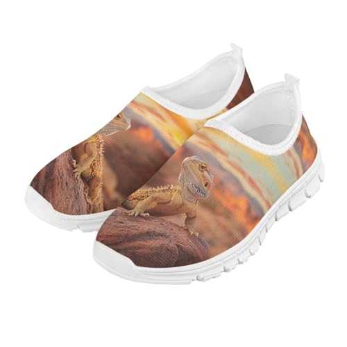 Doojoayie Wild Lizard Running Shoes for Boys Slip On Sneakers Size 2.5 Little Kid Anti-Slip Workout Shoes for Child Sports Jogging Active Shoes Fashion Bowling Shoes Black