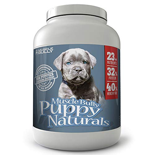 The 11 Best Dog Supplements for Muscle HayFarmGuy