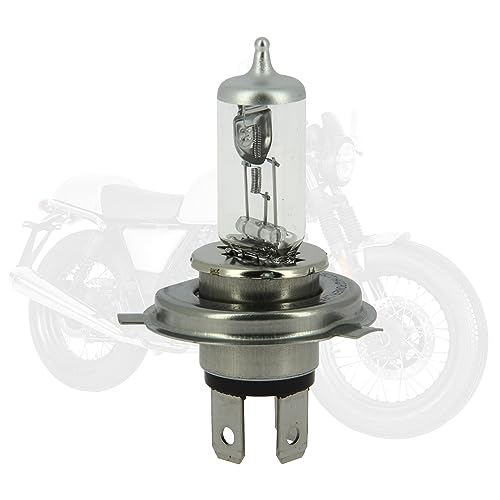 Michelin H4 Glühlampe Fernscheinwerfer 60/55W P43t Fernlicht Halogen Birne 008554