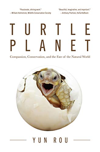 Télécharger Turtle Planet PDF