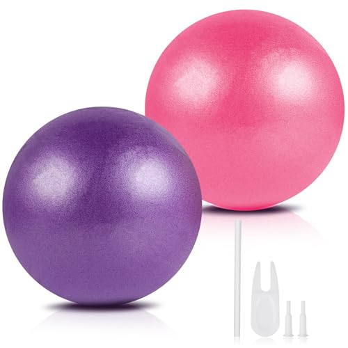 Guirnd 9 Inch Pilates Ball with Pump (Pink & Purple)