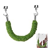 Spinnenbrücke, Dekoration für den Wohnraum, Frösche, Bäume, Sitzstange und Brücke für Dendrobaten und Reptilien | für Terrarien, Lebensräume, Tierliebhaber, Lehrer, Schüler