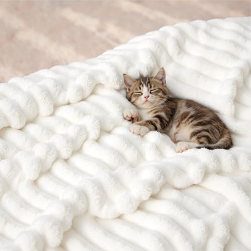 BEDSURE Kuscheldecke Flauschig - Wolldecke & Fleecedecke, Sofadecke, Weiche Warme Grobe Korddecke für Zimmer Deko, Wohn- & Kuscheldecken, Tagesdecke, Große Decke, Wollweiß, 230 x 270 cm