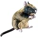 HUNTER WILDLIFE RAT Hundespielzeug, naturgetreu, Plüschspielzeug, Ratte, M