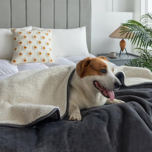 Rainmae Cobertores de amor à prova d'água de 203 x 228 cm para casais, cobertor Queen Size Splash,