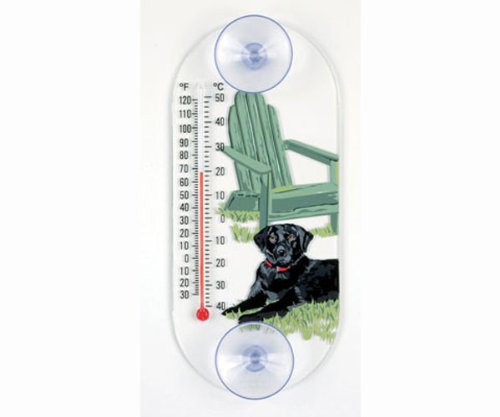 AspectsASPECTS300 Black Lab Thermometer