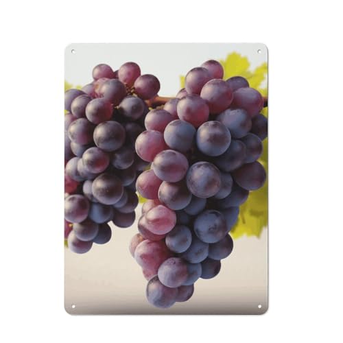 Peintures à suspendre en métal haut de gamme au design artistique Raisins du désert