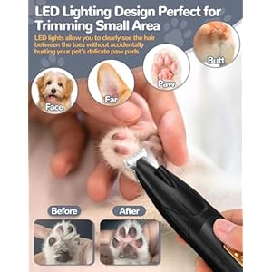 LEYOUFU Dog Clippers for Grooming, 2 Speed Dog Paw Trimmer with LED Light, Rechargeable Low Noise Pet Shaver for Trimming Dogs Cats Hair Around Paws, Eyes, Ears, Face, Rump (Black) LEYOUFU Dog Clippers for Grooming 2 Speed Dog Paw Trimmer with LED Light Rechargeable Low Noise Pet Shaver for Trimming Dogs Cats Hair Around Paws Eyes Ears Face Rump Black